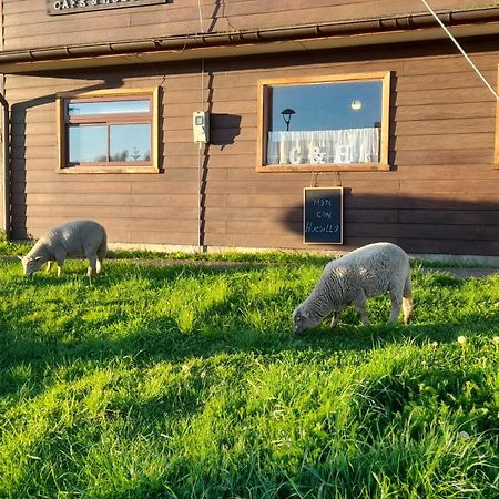 Cafe & Hostal Acurruka Curacautín Dış mekan fotoğraf