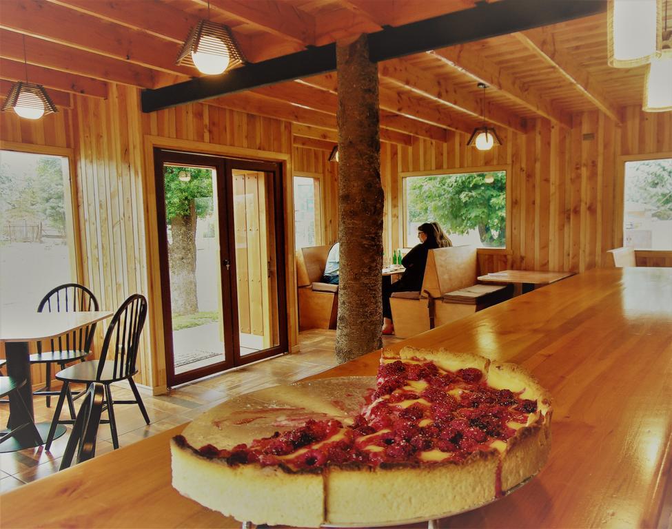Cafe & Hostal Acurruka Curacautín Dış mekan fotoğraf