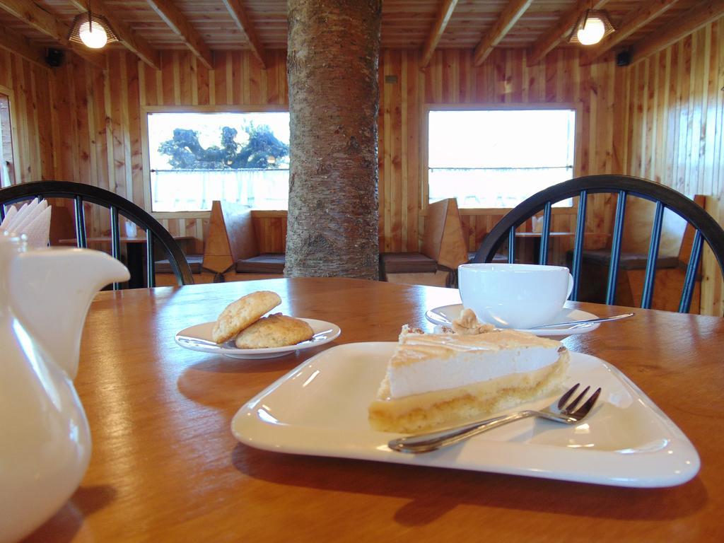 Cafe & Hostal Acurruka Curacautín Dış mekan fotoğraf